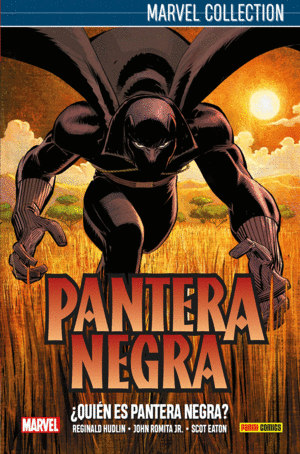 PANTERA NEGRA DE HUDKIN 01: ¿QUIÉN ES PANTERA NEGRA?