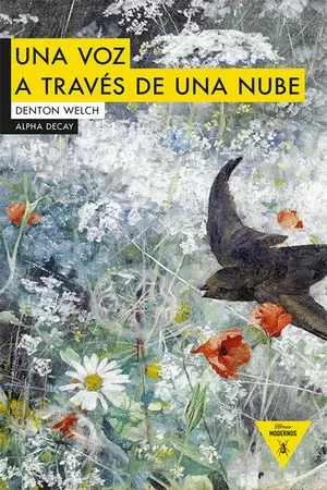 UNA VOZ A TRAVÉS DE UNA NUBE