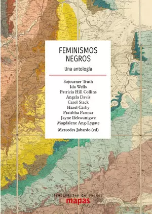 FEMINISMOS NEGROS. UNA ANTOLOGIA