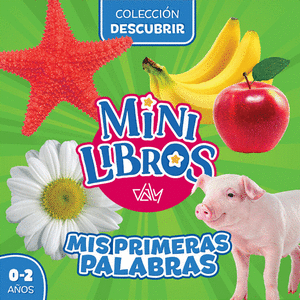 MINILIBROS-MIS PRIMERAS PALABRAS
