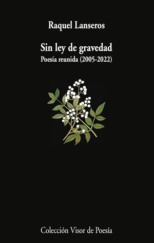 SIN LEY DE GRAVEDAD