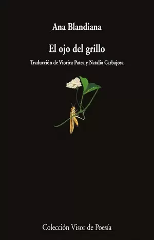 EL OJO DEL GRILLO