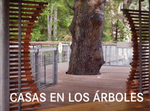 CASAS EN LOS ARBOLES