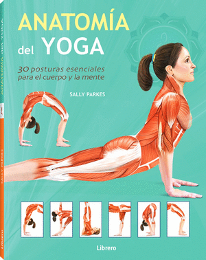 ANATOMIA DEL YOGA