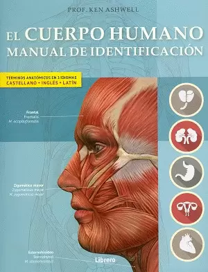 EL CUERPO HUMANO. MANUAL DE IDENTIFICACION
