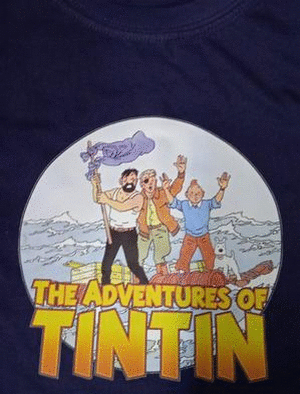 CAMISETA INFANTIL TINTIN  ADVENTURES  T.8