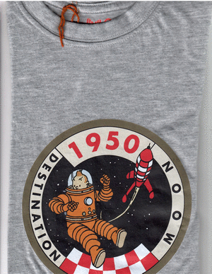 CAMISETA INFANTIL TINTIN  DESTINATION TALLA 12