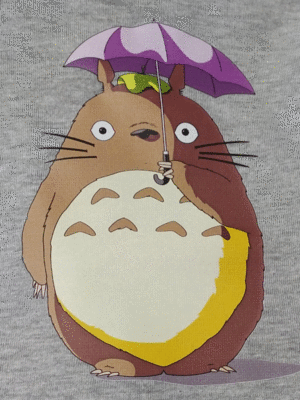 CAMISETA INFANTIL TOTORO  T- 8