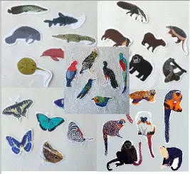 STICKERS FAUNA DE COLOMBIA