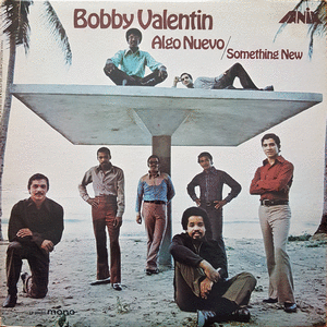 ALGO NUEVO / SOMETHING NEW (VINILO)