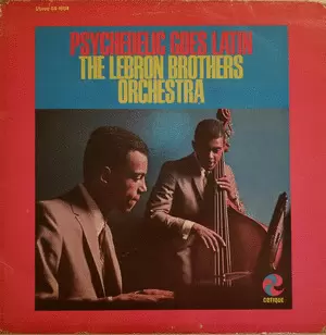 PSYCHEDELIC GOES LATIN (VINILO)