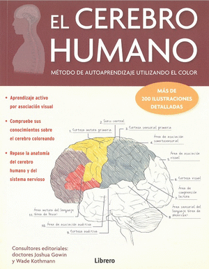 EL CEREBRO HUMANO