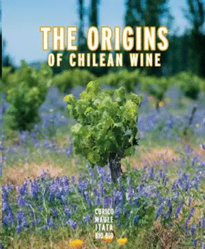 THE ORIGINS OF CHILEAN WINE