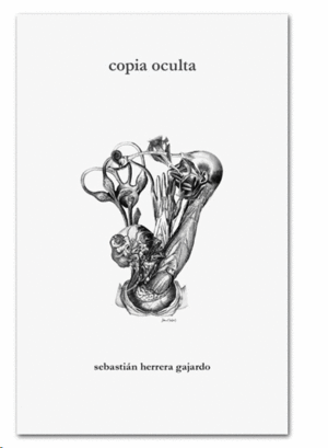 COPIA OCULTA
