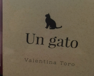 UN GATO