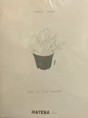 TODAS LAS LÍNEAS HORIZONTALES