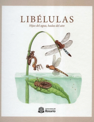 LIBELULAS