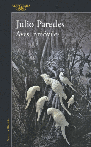 AVES INMÓVILES