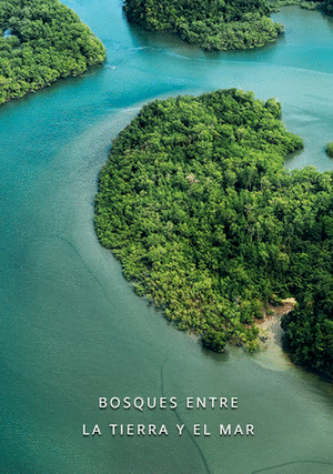 BOSQUES ENTRE LA TIERRA Y EL MAR