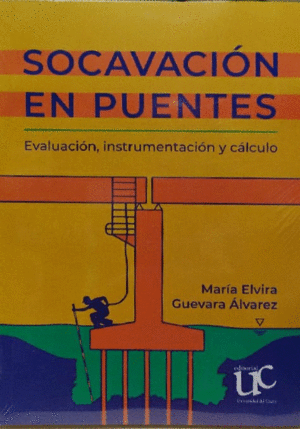 SOCAVACIÓN EN PUENTES