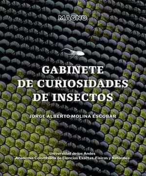GABINETE DE CURIOSIDADES DE INSECTOS