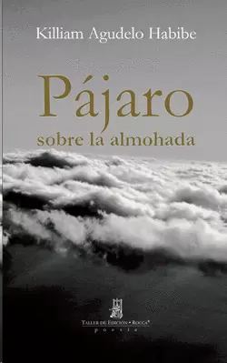 PÁJARO SOBRE LA ALMOHADA