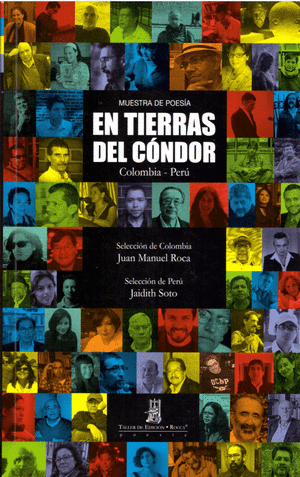 EN TIERRA DEL CÓNDOR