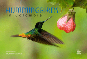 HUMMINGBIRDS IN COLOMBIA