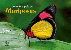 COLOMBIA, PAIS DE MARIPOSAS