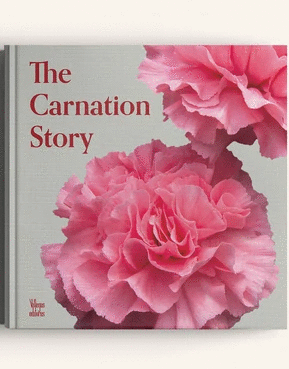 THE CARNATION STORY