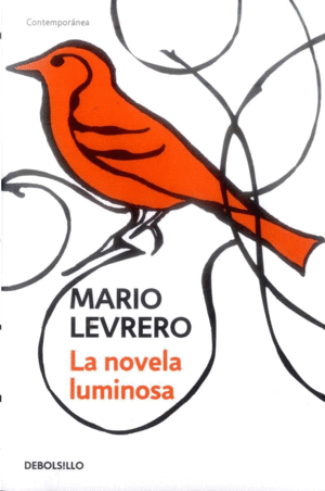 LA NOVELA LUMINOSA