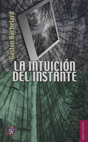 LA INTUICIÓN DEL INSTANTE