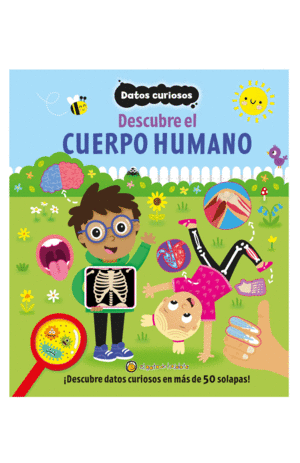 DESCUBRE EL CUERPO HUMANO: DATOS CURIOSOS