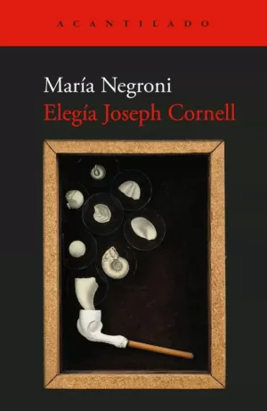 ELEGÍA JOSEPH CORNELL
